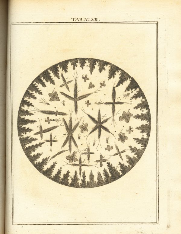 LEDERGEMUETH_TAB047