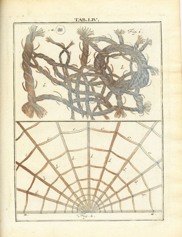 LEDERGEMUETH_TAB054