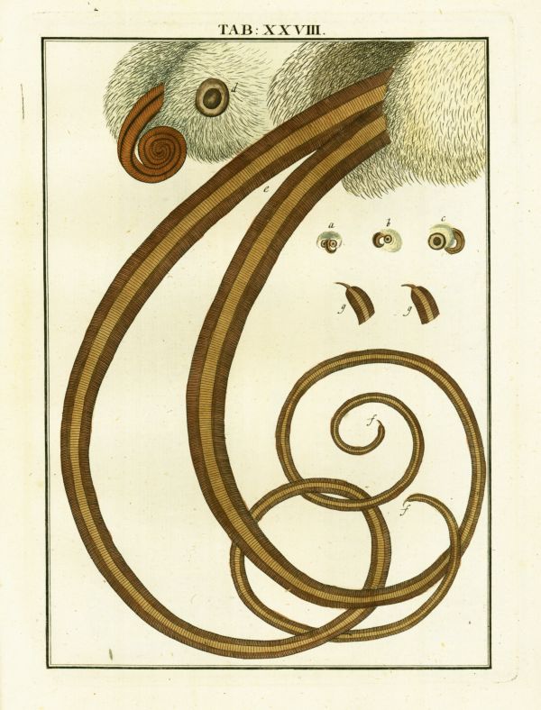 LEDERMUELLER_3_28