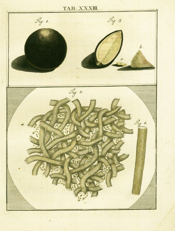 LEDERMUELLER_3_33