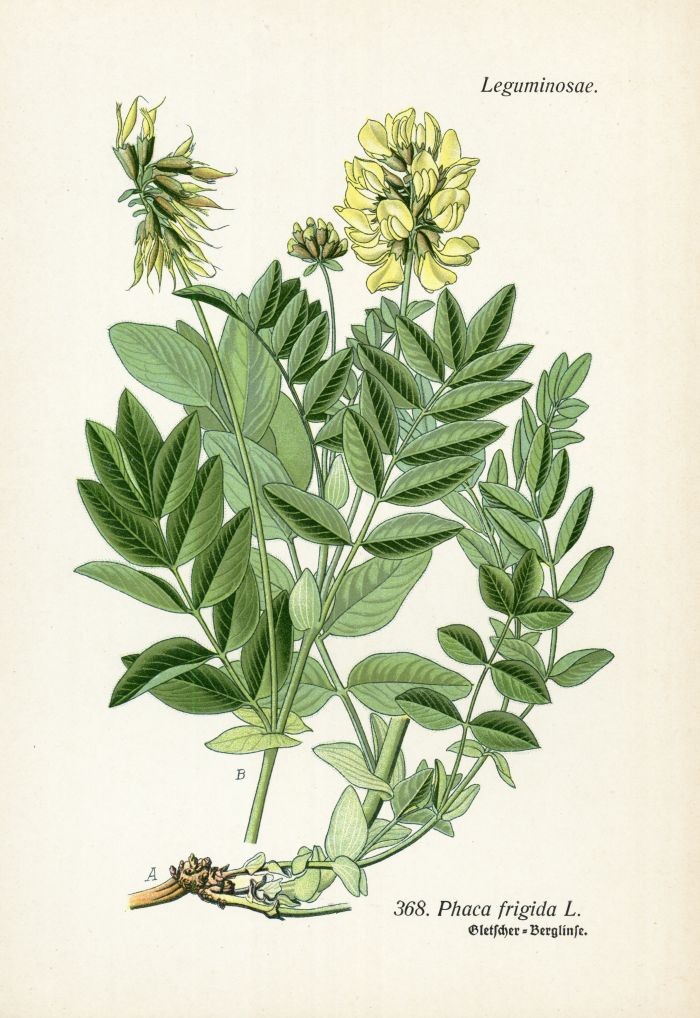 Gletscherberglinse